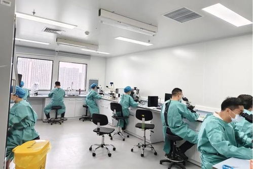 嘉實力全開！嘉定區在全市疾病預防控制職業技能競賽中包攬多個獎項